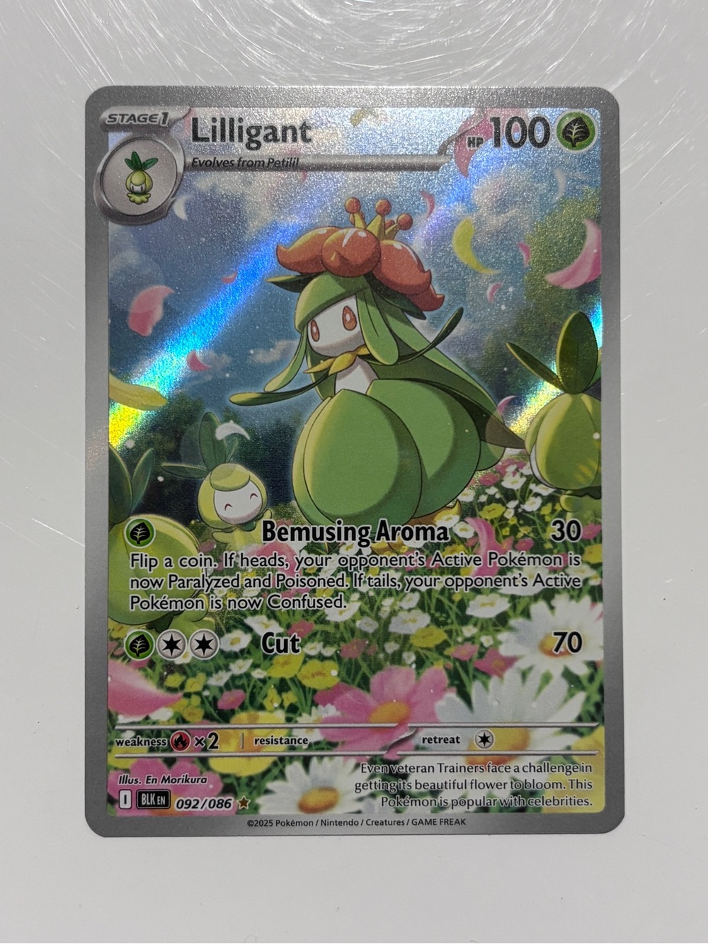 Pokémon Lilligant 092/086 Illustration Rare Black Bolt Holo NM